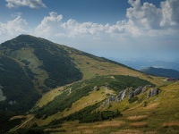 IMG_0872