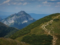 IMG_0878