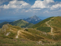 IMG_0885