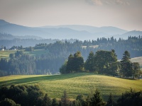IMG_0901