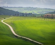 IMG_2422