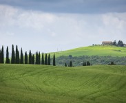 IMG_2431