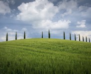 IMG_2433