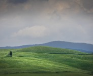 IMG_2441