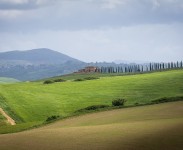 IMG_2442