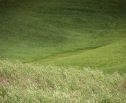 IMG_2444