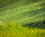 IMG_2447
