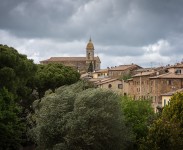 IMG_2475