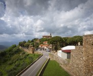 IMG_2478