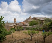 IMG_2498
