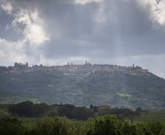 IMG_2531
