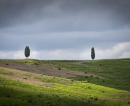 IMG_2534