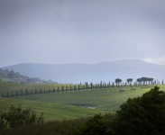 IMG_2537
