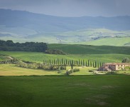 IMG_2544