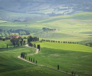 IMG_2559