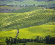 IMG_2560
