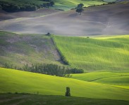 IMG_2562