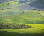 IMG_2564