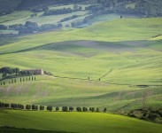 IMG_2565
