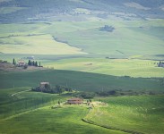 IMG_2566