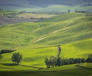 IMG_2577