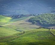 IMG_2578