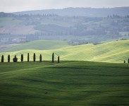 IMG_2583