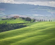 IMG_2588