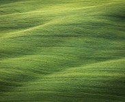 IMG_2589