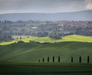 IMG_2591