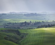 IMG_2596