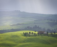 IMG_2604
