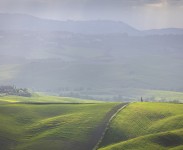 IMG_2605