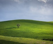IMG_2617