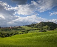 IMG_2625