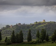 IMG_2645