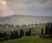 IMG_2646