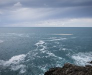 IMG_2749