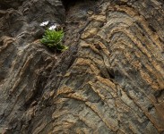 IMG_2753