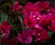 IMG_2763