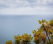 IMG_2774