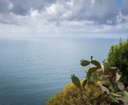 IMG_2777