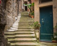 IMG_2788