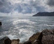 IMG_2803