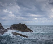 IMG_2810