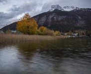IMG_7336