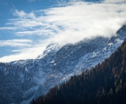 IMG_7402
