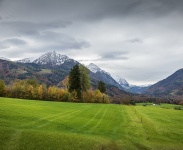 IMG_7410
