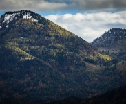 IMG_7452