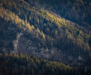 IMG_7485